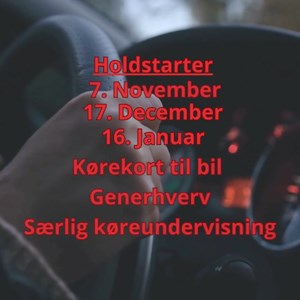 Opslagsbillede