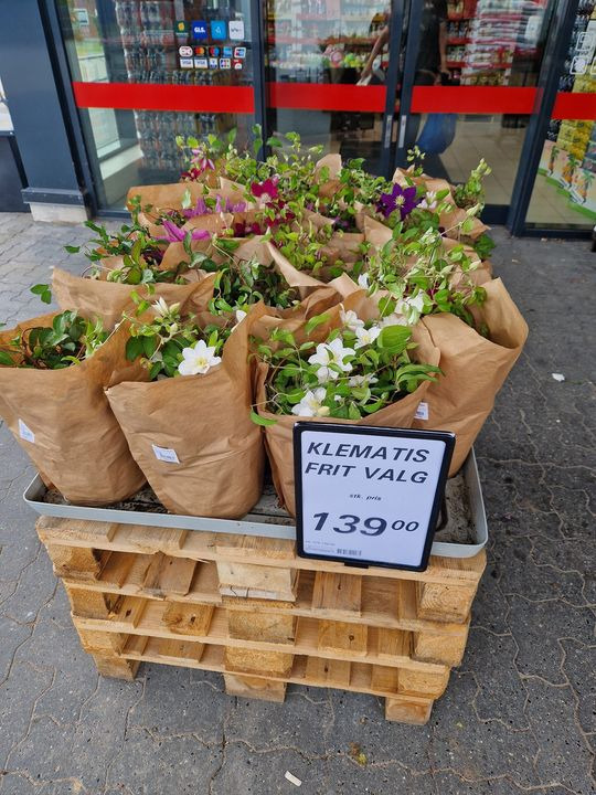 Opslagstavlen: Nyeste opdateringer fra Tjele