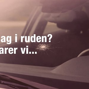 Opslagsbillede