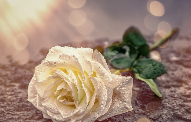 Mindeord - Preben John Johansen