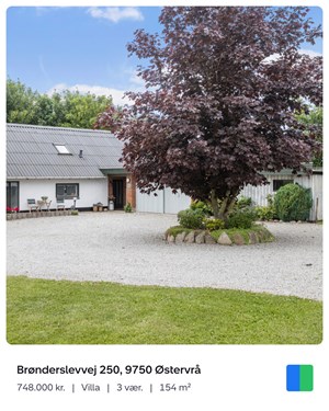 opslagsbillede