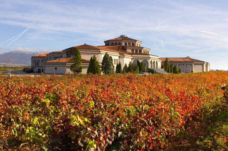 Ismail fra Café Tidslös besøger spanske vinhuse for at udvide vinkortet