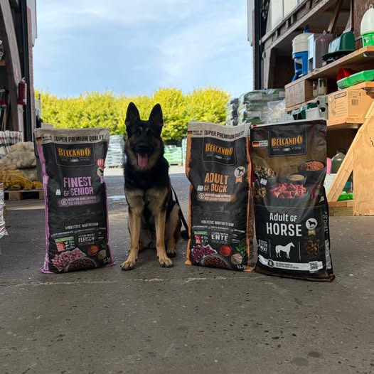 Resen Landhandel har fået Belcando GF kornfrit hundefoder på hylderne