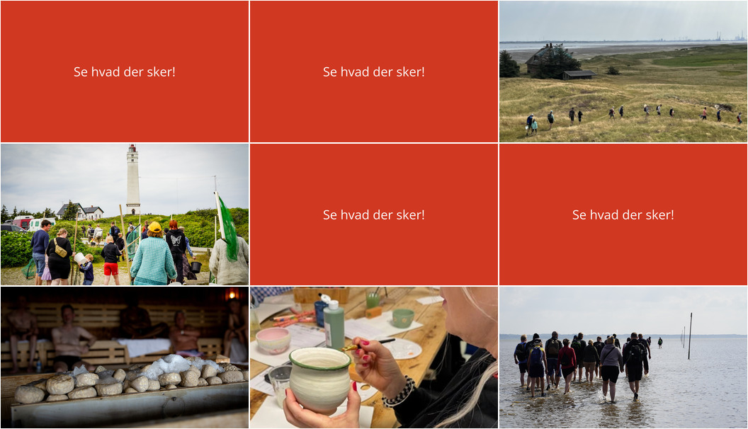 Tag til Blåvand i weekenden: Naturvandringer, keramik og afslapning