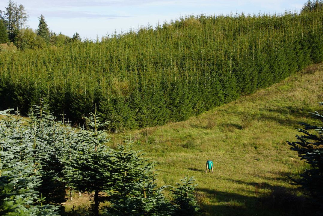 Se dagens updates fra Tjele her