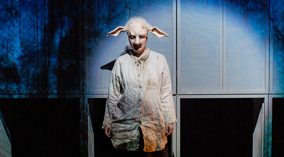 Oplev den reumertnominerede forestilling "Animals" i Birkerød