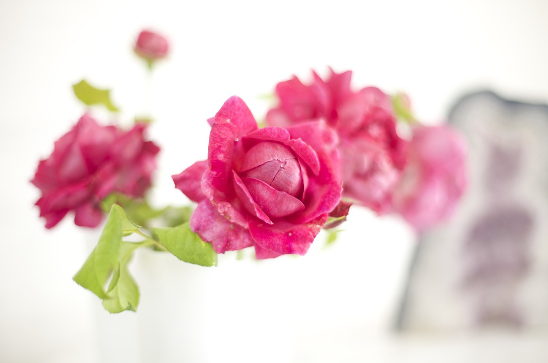 Slip stress og ubehag med tankefeltterapi på Risskov Bibliotek
