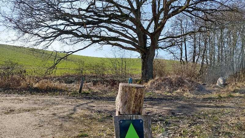 Udforsk Nørreskoven med DVL Horsens