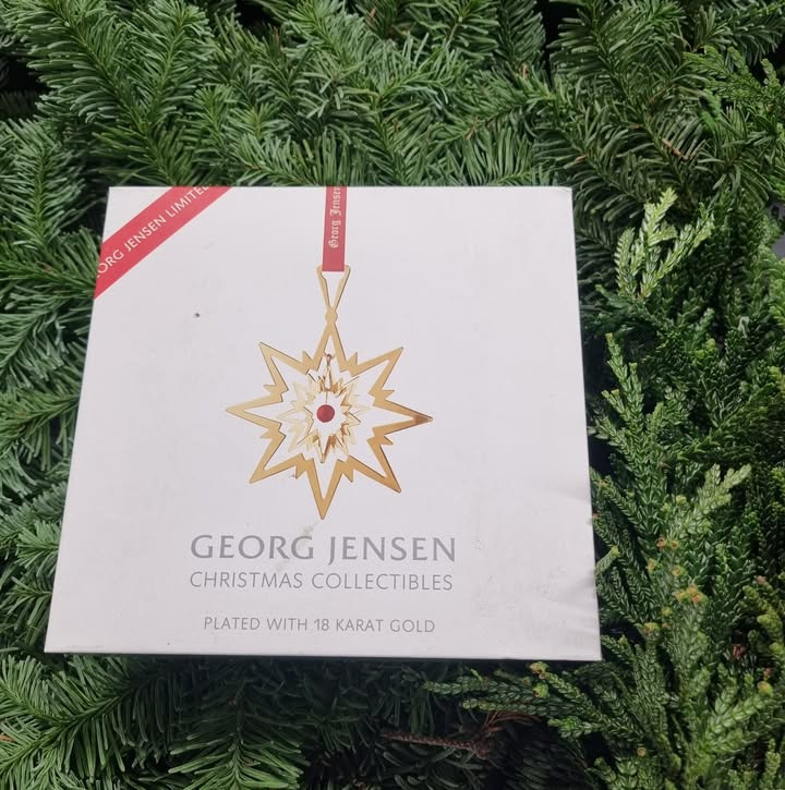 Rema 1000 Nykøbing Mors tilbyder Georg Jensen julestjerne til uovertruffen pris