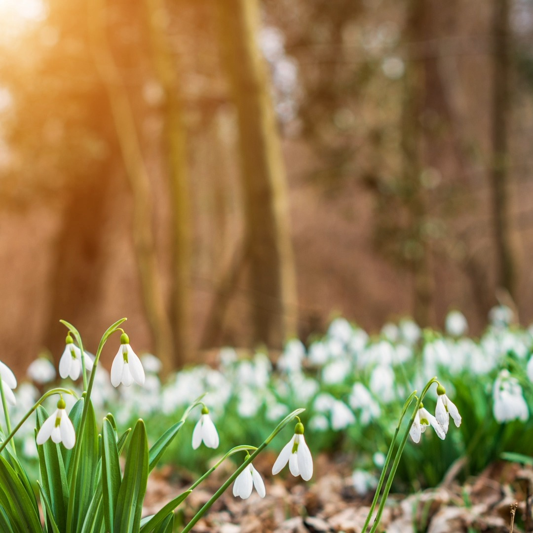 Nyt på opslagstavlen i Nordborg