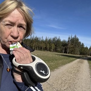 Opslagsbillede
