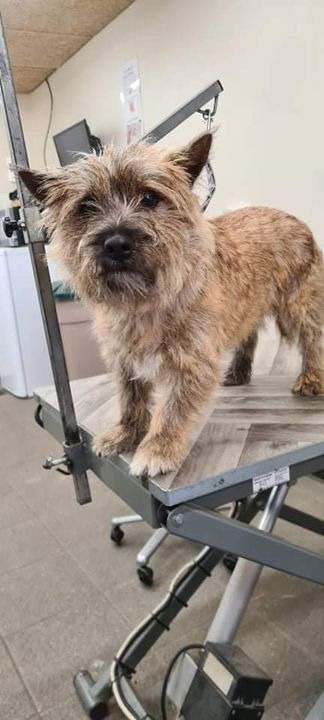 Hold trit med lokalområdet: Nyt fra Sæby