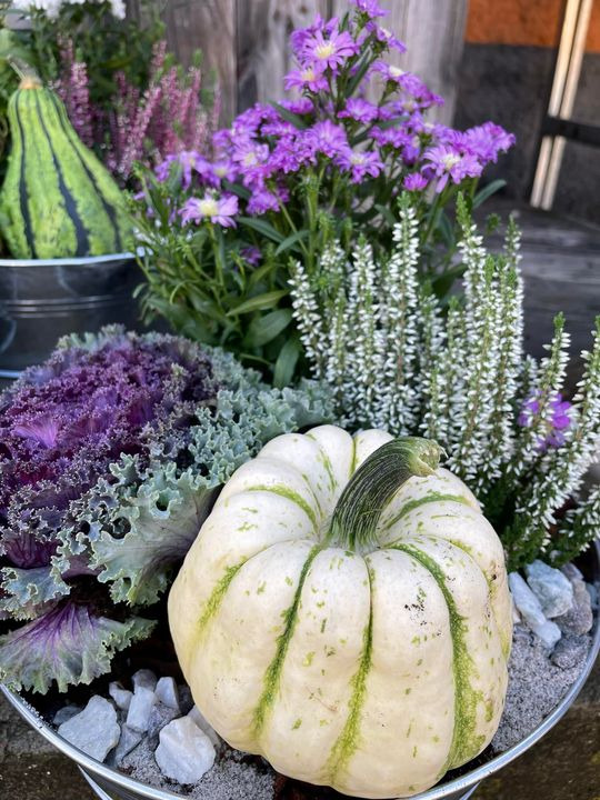 En finger på pulsen i Roslev