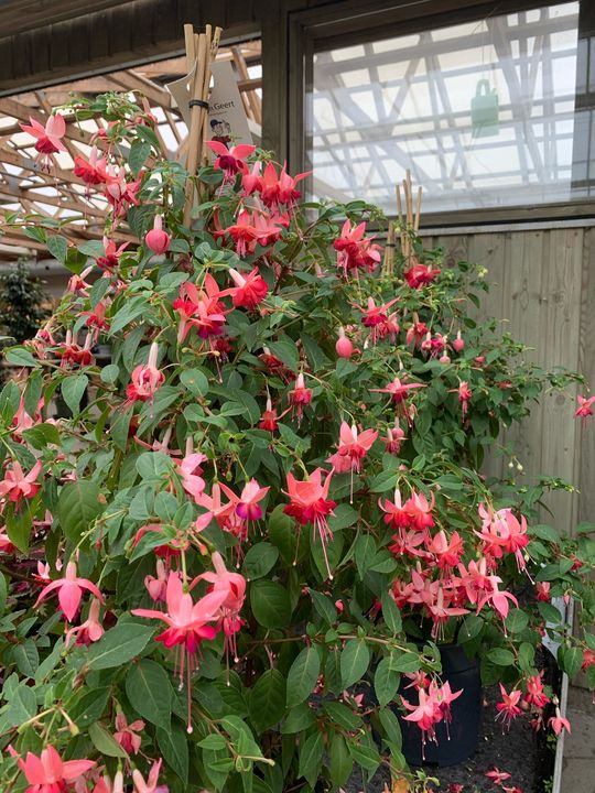 Nyt på opslagstavlen i Brønderslev