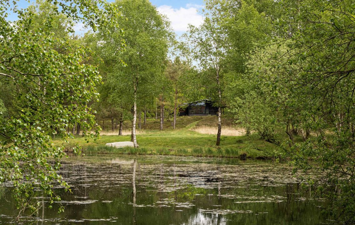 Nyt på opslagstavlen i Tjele