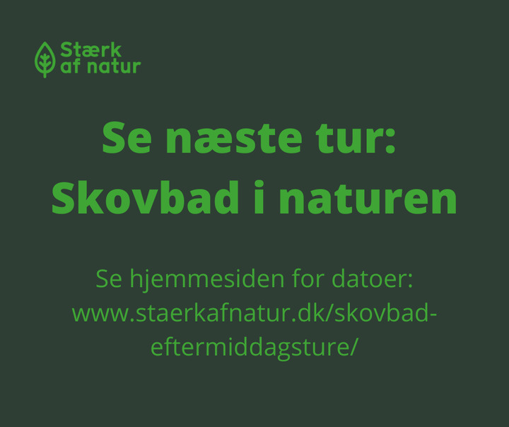 Hold dig ajour med dagens opdateringer fra Hammel