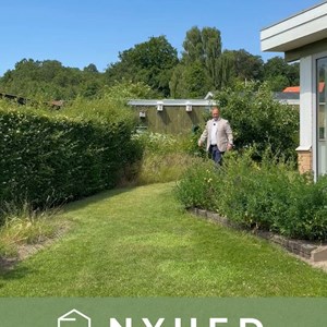 Opslagsbillede