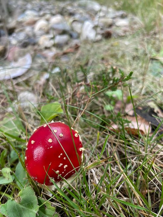 Nyt på opslagstavlen i Skive