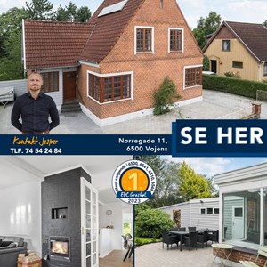 Opslagsbillede