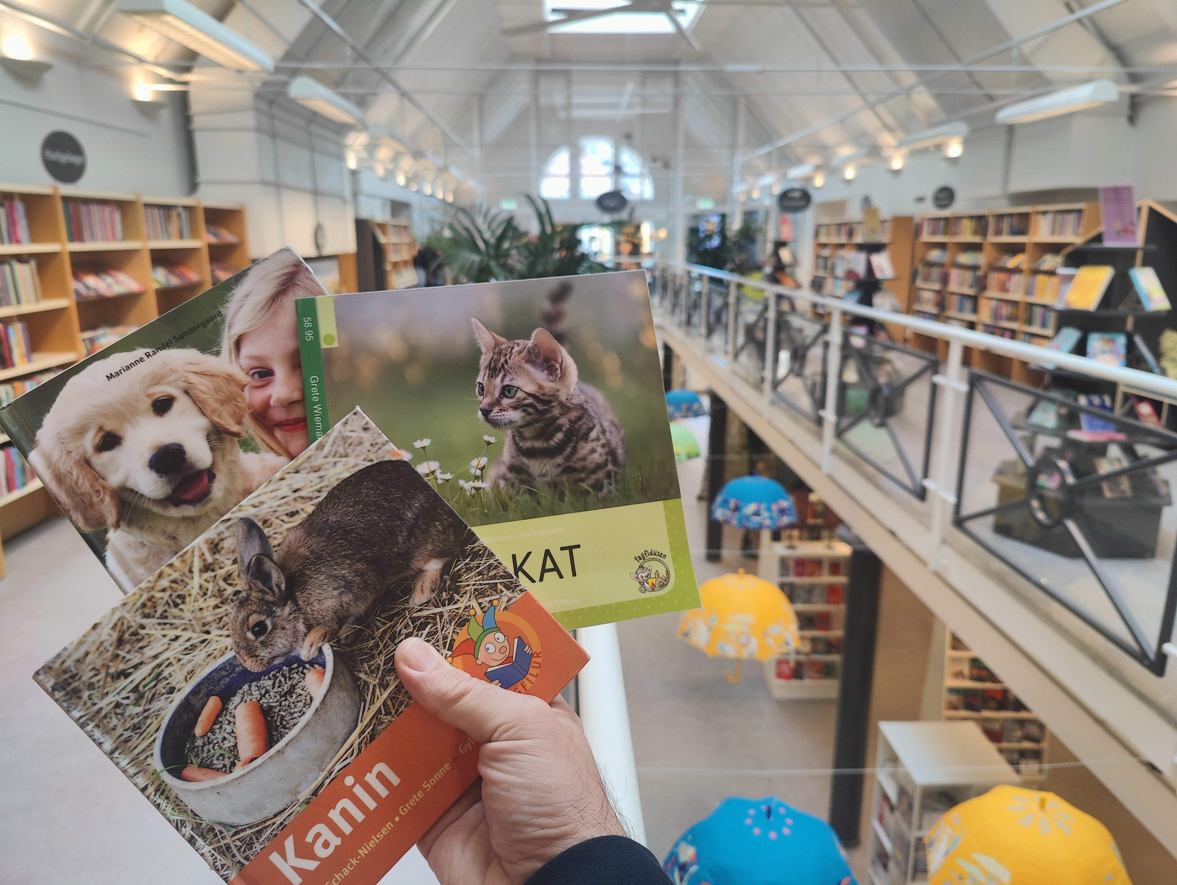 Garanti for cuteness på biblioteket