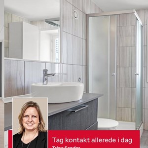 Opslagsbillede