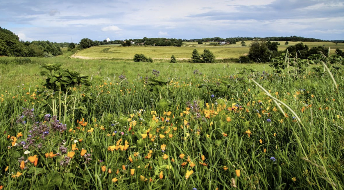 Gang i klimaindsatsen i Odder
