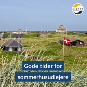 Opslagsbillede