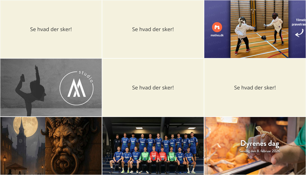 Oplev Taastrup denne weekend: Fægtning, Nytårsshow og Håndbold