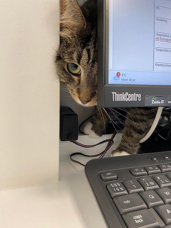 Det nyeste på Hernings opslagstavle