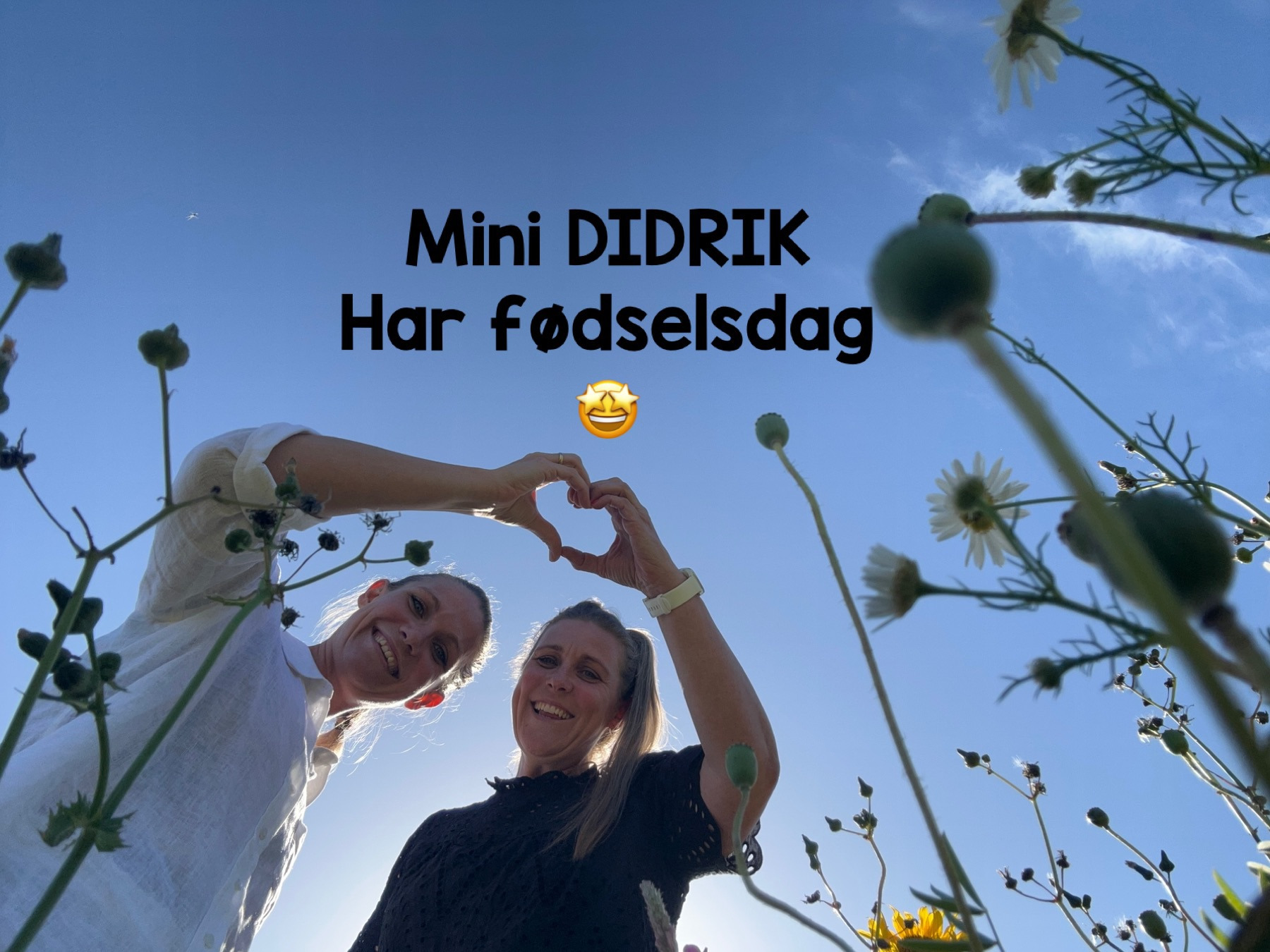 MiniDIDRIK fejrer 8-års fødselsdag med festlig tivoli-uge