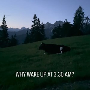 Opslagsbillede