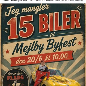 Opslagsbillede