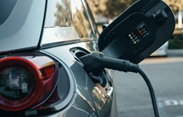 Viborg vil være en grønnere by