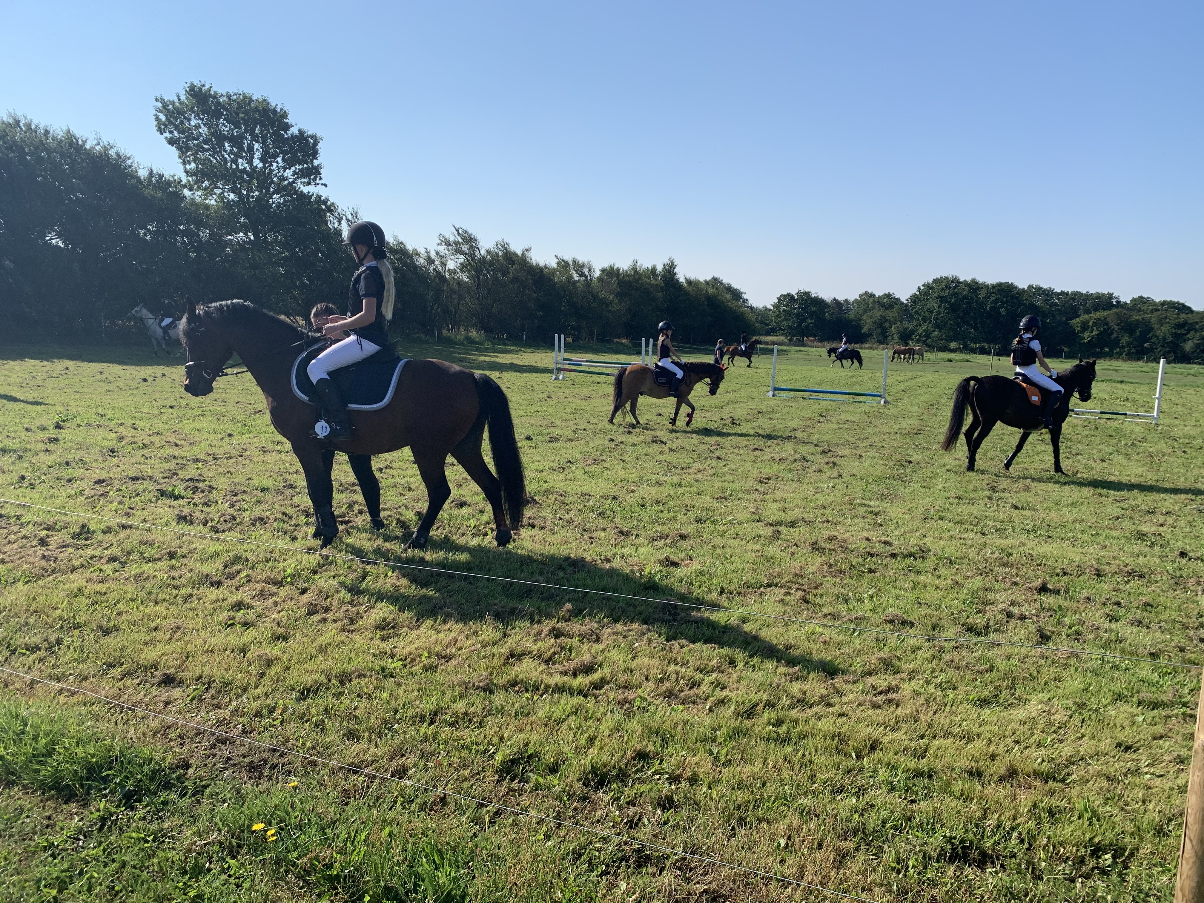 Strålende vejr til weekendens springstævne 