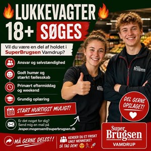Opslagsbillede
