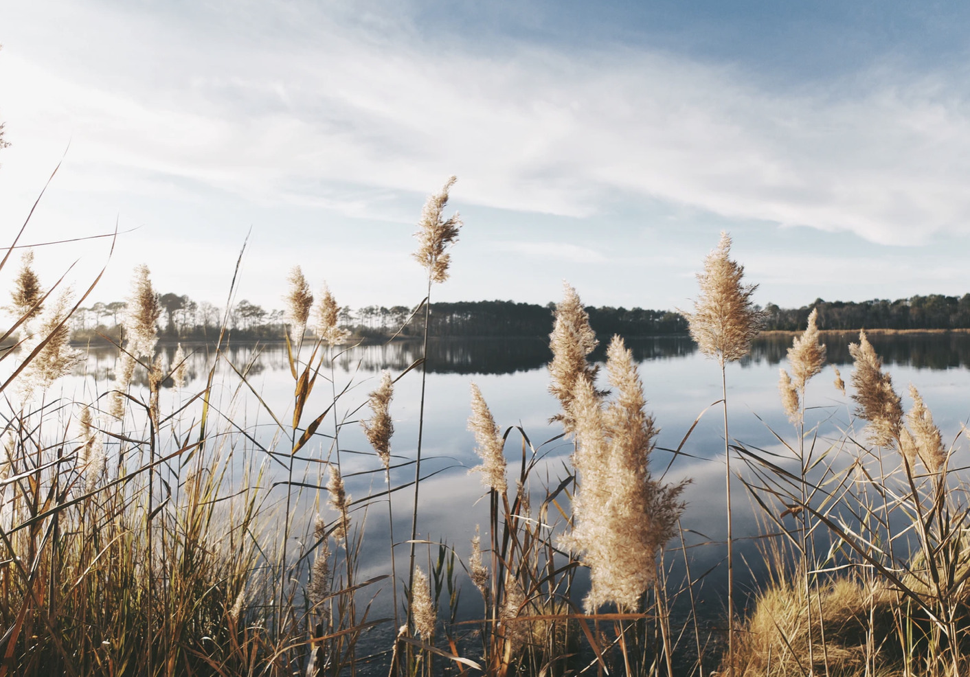 Hold dig fra disse badesøer: Fyldt med bakterier
