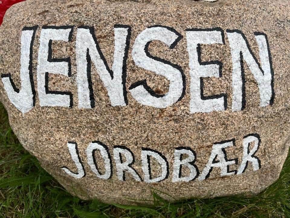 Det nyeste på Sæbys opslagstavle