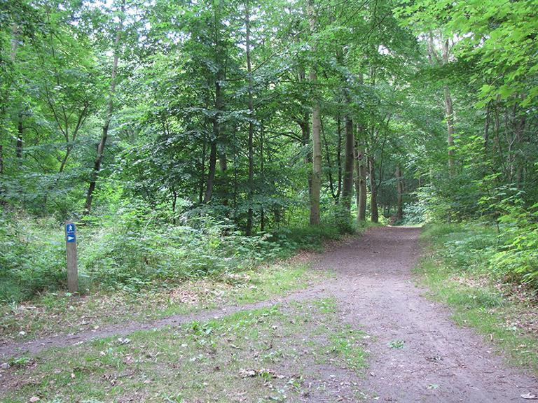 Ambitiøst biodiversitetsprojekt på Fyn modtager betydelig EU-støtte