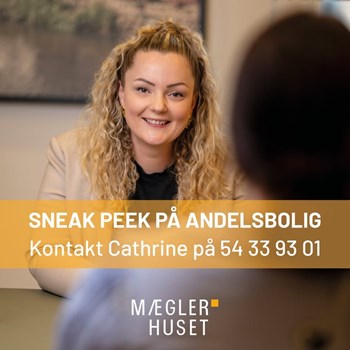 Opslagsbillede