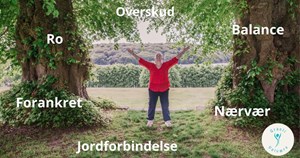 opslagsbillede