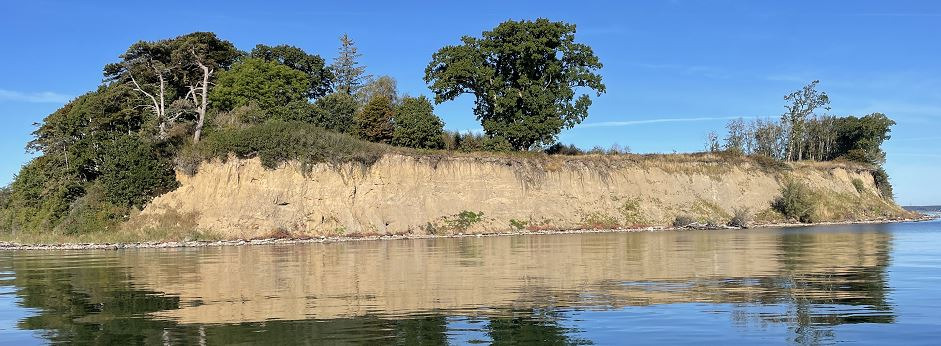 Oplev naturens vidundere på en vandretur i Palsgaard Slotspark
