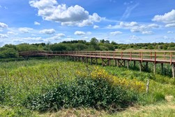Skive Kommune åbner ny natursti langs Skive Å med indvielsesarrangement og guidet gåtur