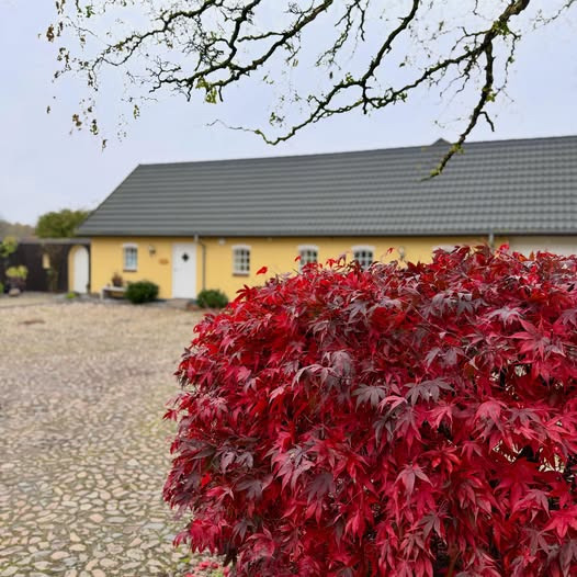 LADEN Yoga & Pilates har stadig pladser på morgenhold til vinterforløbet