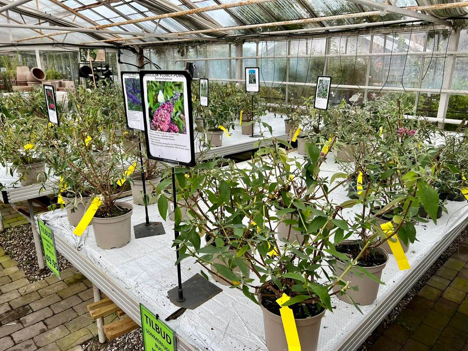 Nyt på opslagstavlen i Sæby