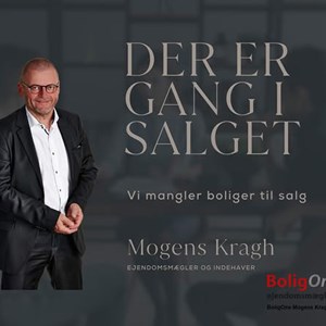 Opslagsbillede