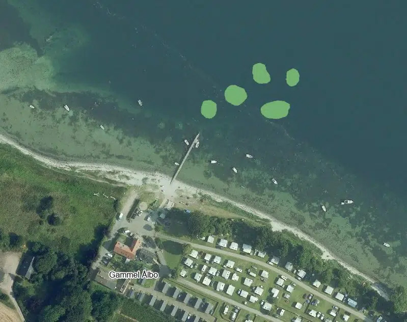 Kolding Kommune fremmer havets biodiversitet med nye stenrev ved Gl. Ålbo