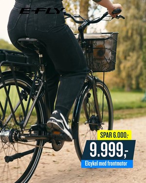 opslagsbillede