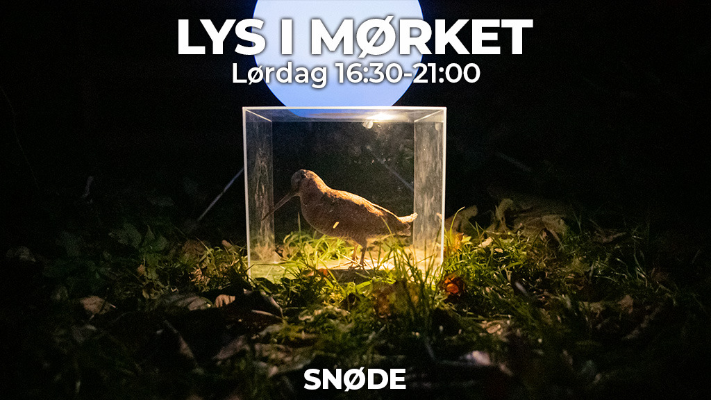 Oplev "Lys i Mørket" ved Snøde Orangeri