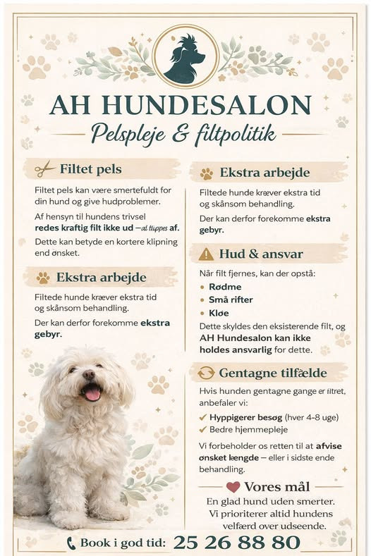 AH Hundesalon understreger vigtigheden af regelmæssig pleje for at undgå smertefulde filtre hos hunde