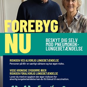 Opslagsbillede